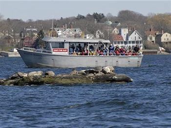 The Spring Seasons Inn Newport Tower Eksteriør billede